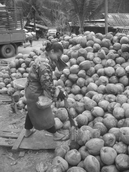 Respekt, was die sich zumuten, damit wir Kokosnuesse schluerfen koennen.
