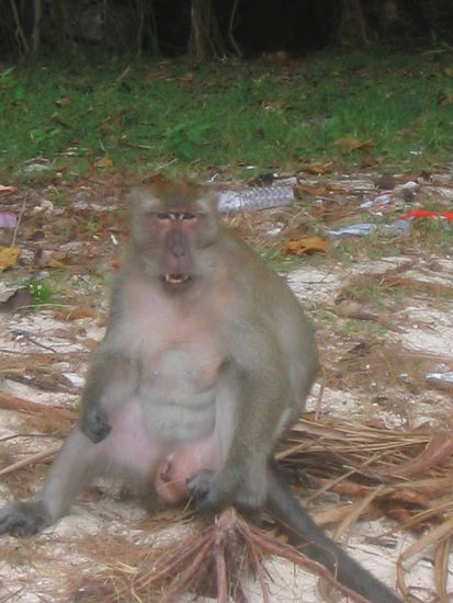 Erwischt, du kleiner Schlingel 