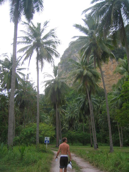Peter geht fuer Katharina Kokosnuesse sammeln.
