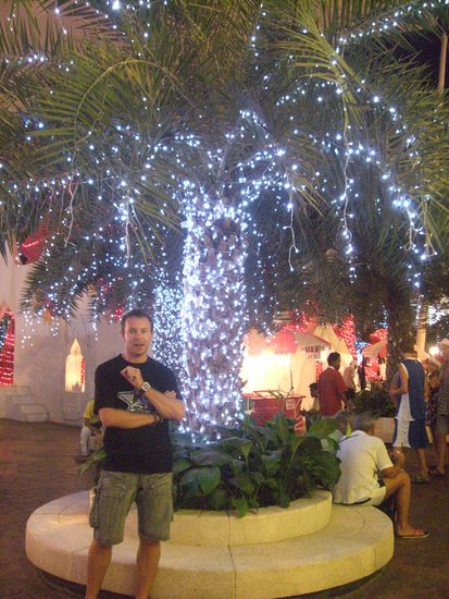 Unser Weihnachtsbaum 2007