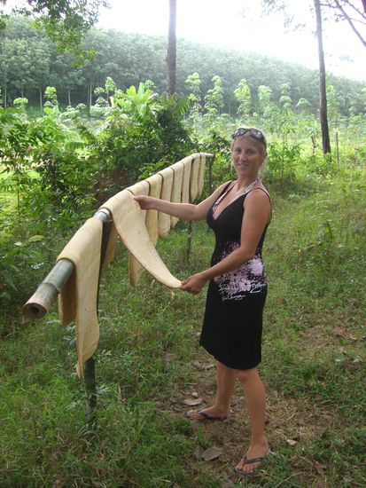Katharina haengt keine Waesche auf, sondern Kautschukteppiche.