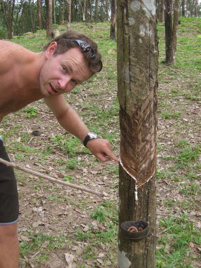 Doktor Peter Schoerkhuber weiss es ganz genau