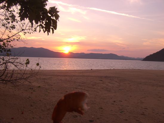 Sonnenuntergang und vielleicht eine Garnele gefaellig?