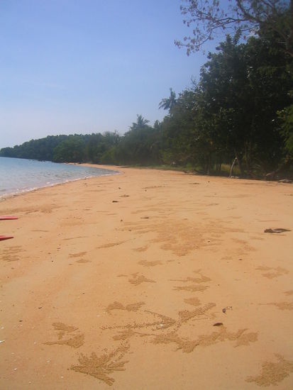 Von diesen Straenden haben wir hier viele gesehen