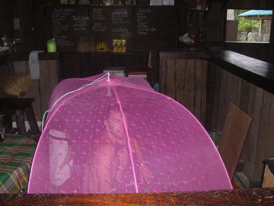 Unser neuer Schlafplatz hinter der Bar!
Zumindest hatten wir genug zu trinken 
HAPPY NEW YEAR!