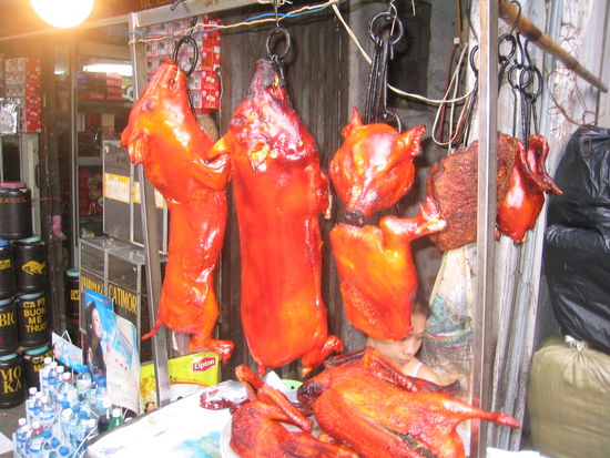 Nochmal Schwein gehabt!!!