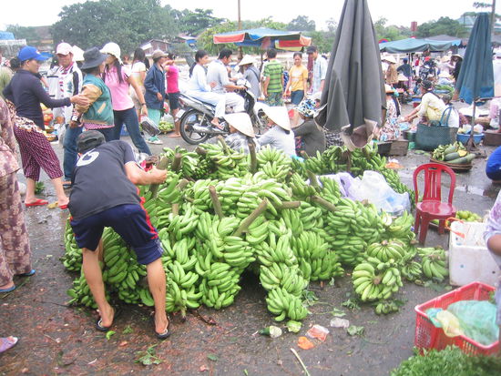 Frische Bananen auf dem Markt.