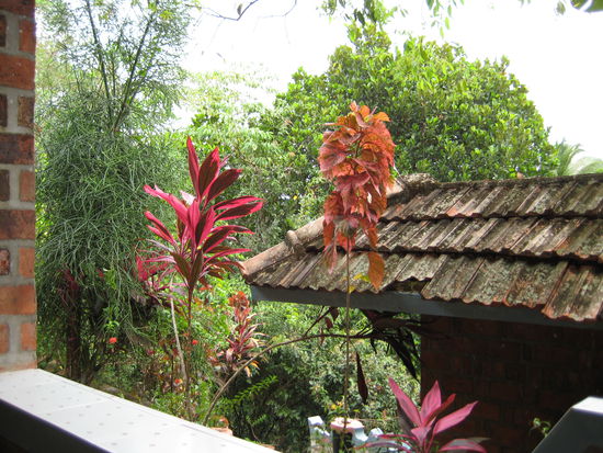 Die Terasse unseres Cottage im Hotel Eden Garden