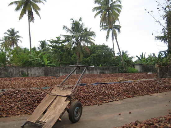 Die Kokosnussoelfabrik (Chandra Oil Expellers in Allapey)