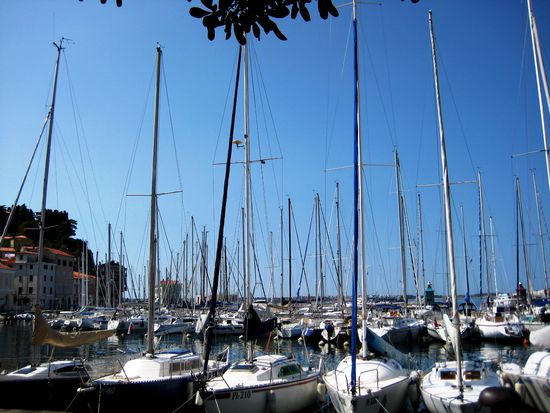 Hafen von Piran