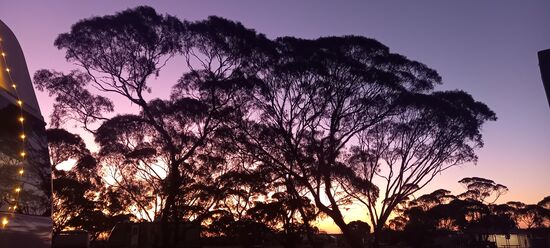Abendstimmung am Balladonia Roadhouse