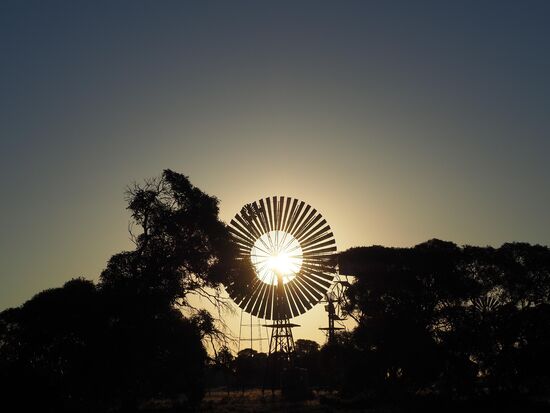 Penong Windmill Museum
Nach dem Nachtessen genissen wir den Sonnenuntergang zwischen dem Windmühlen und über dem Weizenfeld.