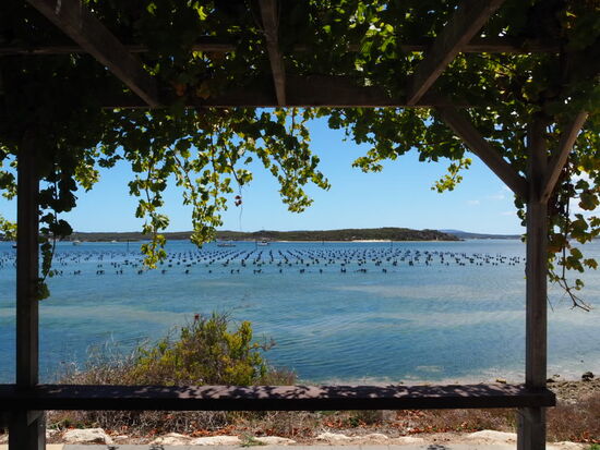 Blick auf die Austernfarm
