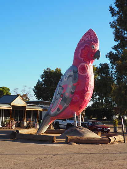 Dieser markante Vogel steht in Kimba. Hier sind wir abgebogen, Richtung Iron Knob. Was wir zu dem Zeitpunkt nicht registrierten, ist das riesige, berühmte Silo-Kunstwerk nur eine Querstrasse weiter.