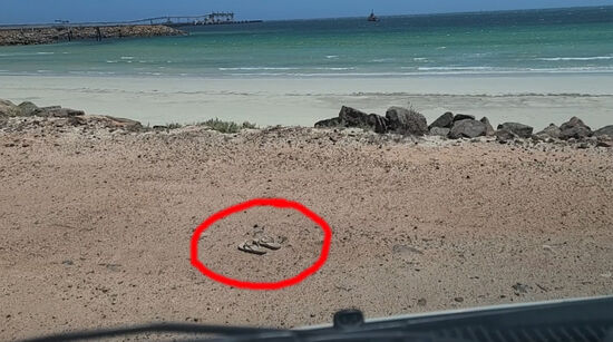 Im Hintergrund ist noch der Jetty zu sehen, auf dem wir später auch noch einen kurzen Spaziergang machten.