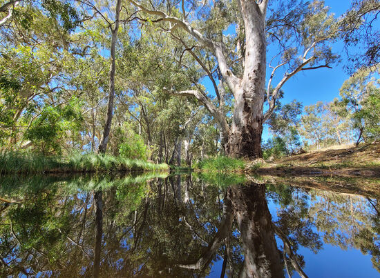 Hier wohnen bestimmt noch Feen und Kobolde