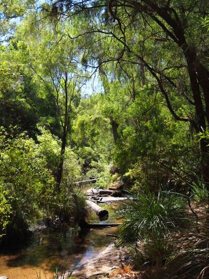 So 21.01 Honeymoon Pool at Wellington National Park
Diese Empfehlung haben wir von einem Angestellten einer Tankstelle erhalten und es war auf jeden Fall einen Umweg wert.