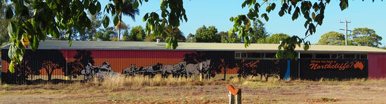 Nach den Lake Cave fuhren wir weiter in Richtung Northcliffe. Ok, wo zur Hölle ist Northcliffe?
