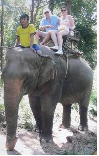... der Elefant und wir