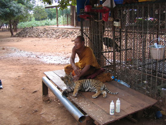 Tiger Temple