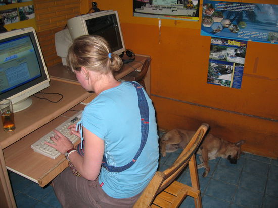 Danschling beim Verfassen des vorletzten Kapitels (nicht nur der Hund ist dabei eingeschlafen )