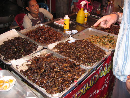 Insekten auf dem Nachtmarkt Krabi. Lecker, oder?