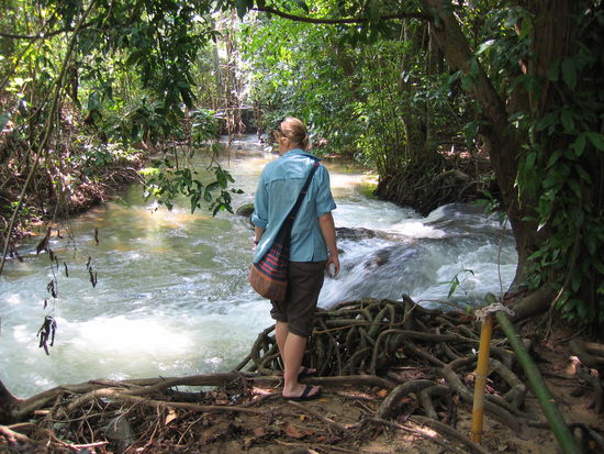 Catfishfarm nahe Klong Munang, Krabi