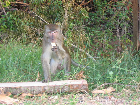 ... sondern seinetwegen!