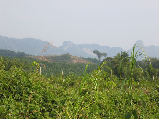 irgendwo Richtung Nationalpark, dann links...