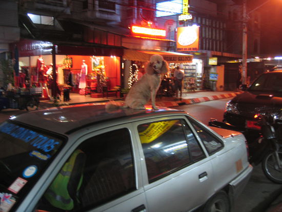 Die leichten Maedchen warten ueberall!