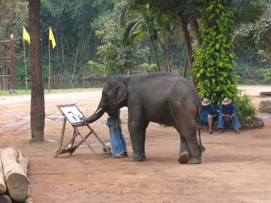 Man beachte die filigrane Pinselfuehrung und die gekraeuste Kuenstlerstirn!