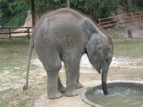 Name unbekannt, geb. am 07.07.07