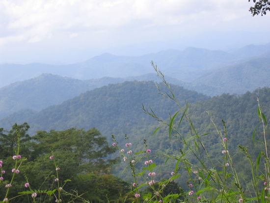 Aussicht ueber Samoeng Forest