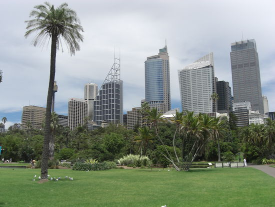 Botanic Garden und City