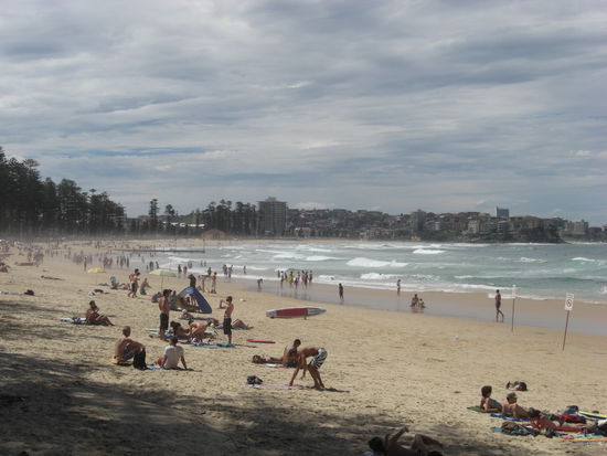 Manly Beach
