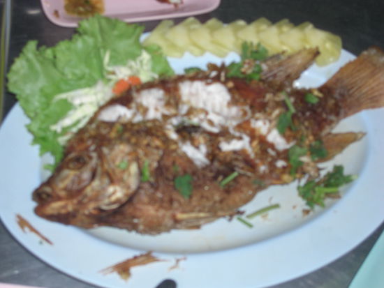 Als Hauptspeise gabs Fisch