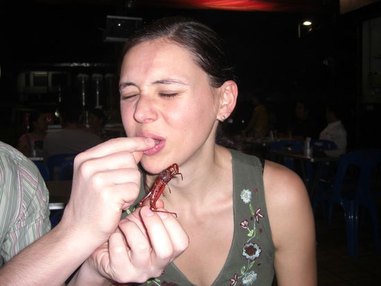 Als Nachspeise dann leckere Heuschrecken!