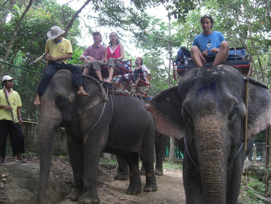 Beim Elefantentrekking