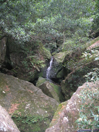 ein klitzekleiner Wasserfall