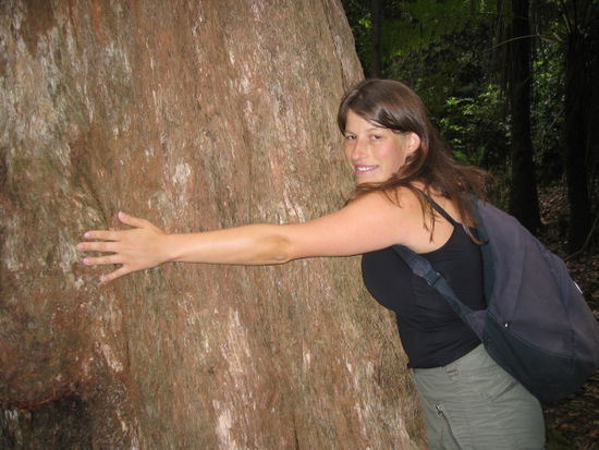 ein gum tree und ich als Hippie-Tree-Hugger im Leura Forest.