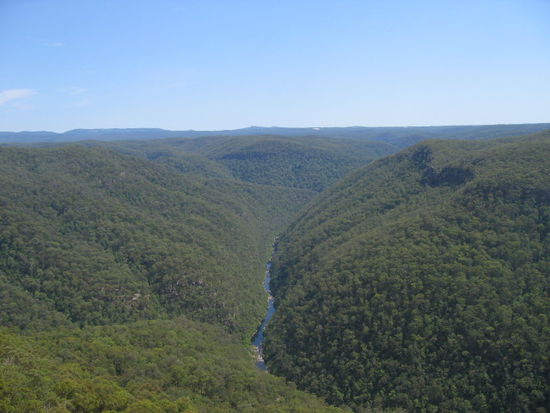 die australischen Blue Mountains