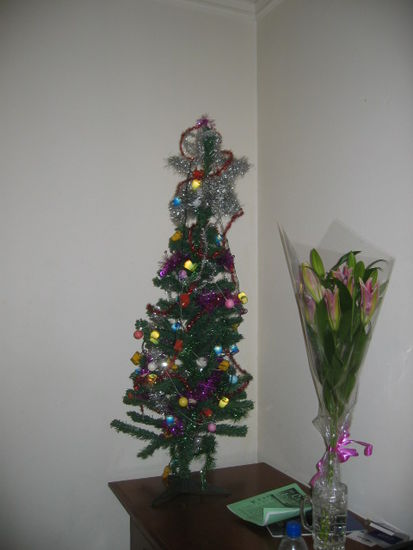 wir hatten sogar einen Christbaum der auch die Faehigkeit des Leuchten besitzt