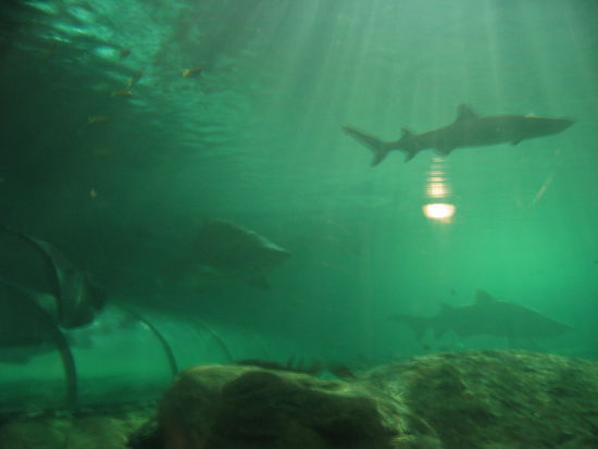 leider war dann mein Akku mal wieder leer...