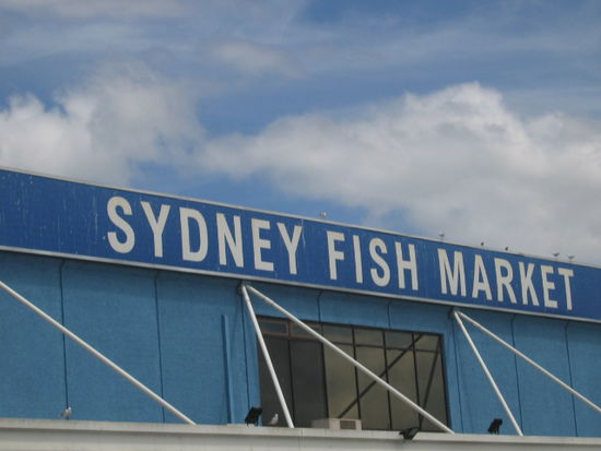 eine Hauptattraktion fuer Touris in Sydney