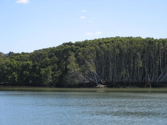 weit und breit nur Natur