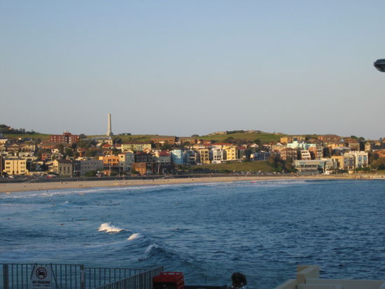 darf ich euch vorstellen meine neue Liebe der Bondi Beach 