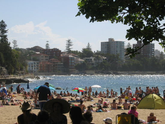 Shelly Beach