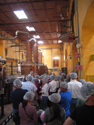 Die Besuchergruppe vor den grossen Kupferkesseln, in denen die Agaven destilliert werden.