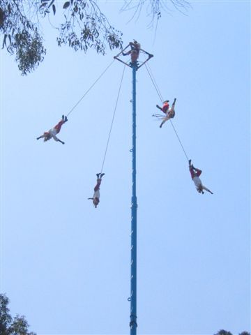 Schon vor den Toren des Mueseums bot sich ein tolles Spektakel: die Volodores, der "fliegende Mensch".