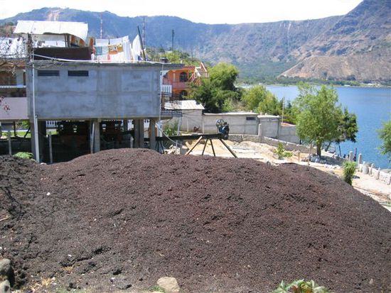 Guatemala ist ein Kaffeeproduzent. Hier sieht man die Kaffeeschalen nach der Fragmentierung.
